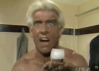 Ric Flair Wrestling GIF