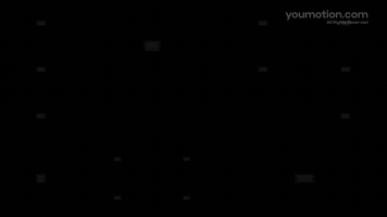 Flowers and Butterflies Animations