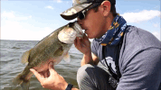 GIF by Mystery Tackle Box