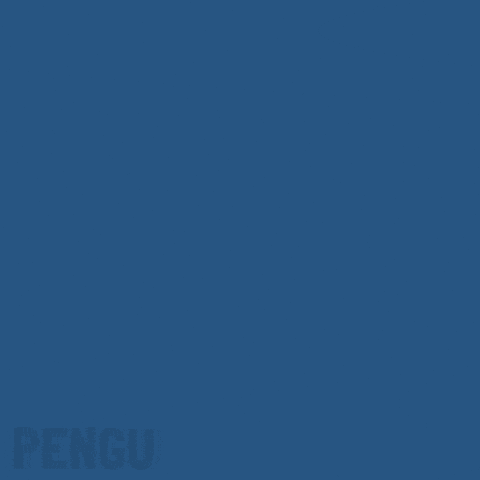 One Piece Penguin GIF by Pudgy Penguins