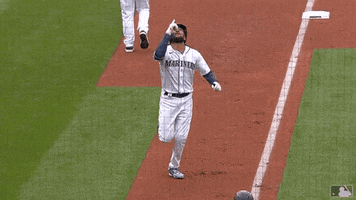 Celebrate Lets Go GIF by MLB