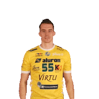 1-3 Virtu Sticker by Aluron CMC Warta Zawiercie