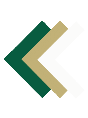 Green And Gold Charlotte Sticker by CLT Admissions