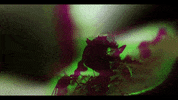 Biting Bbc GIF