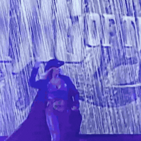 Wwe Entrance GIF by Trish Stratus