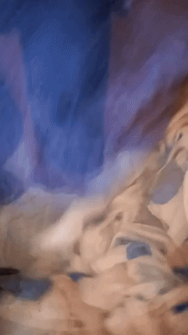 Simongip giphygifmaker GIF