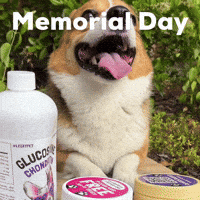 Memorial Day Dog GIF