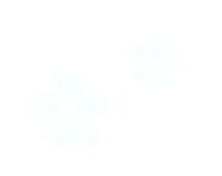 hs-movies flower japan sakura 花 Sticker