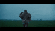 Mood Field GIF by The Lumineers