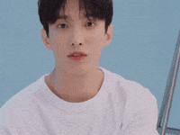 Dk 세븐틴 GIF