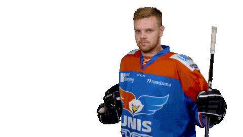 unisflyers giphyupload goal mark eagles Sticker