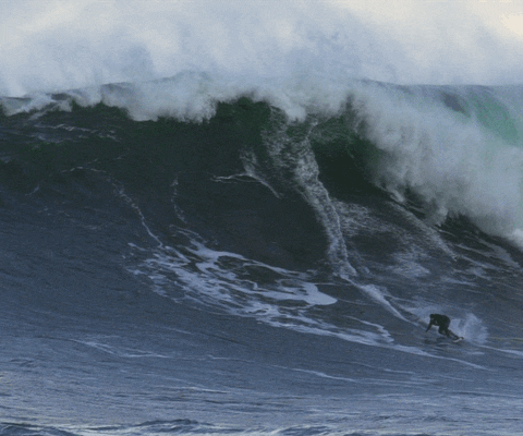 Video gif. A lone surfer rides a massive wave as it crashes down toward him.