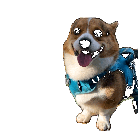 Dog Share Sticker