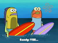 season 6 GIF by SpongeBob SquarePants
