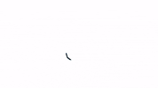 Wdtuev GIF by tanzen_de