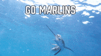 Go Marlins
