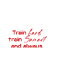 TopBrother train bjj jiujitsu jiu jitsu Sticker