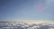 Punk Rock GIF by Pure Noise Records