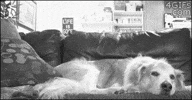 Over It Hello GIF