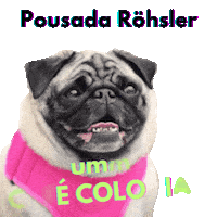 Monteverde Sticker by Amora Pug Brasil