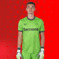 Bayer 04 Win GIF by Bayer 04 Leverkusen