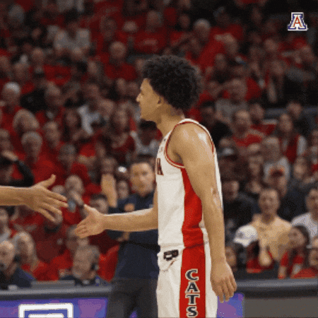 Arizona Wildcats Celebration GIF by Arizona Athletics