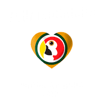 uendelpinheirooficial uendel pinheiro uendelpinheirooficial sambamanaus euamosamba Sticker