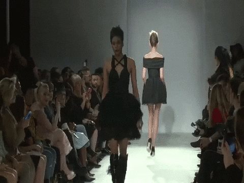 GIF by Great GIFs