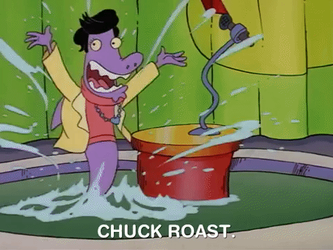 rockos modern life nicksplat GIF