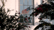 college football navy GIF by SHOWTIME Sports