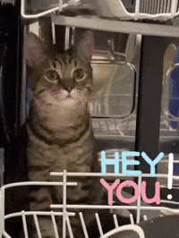 Hey You Hello GIF