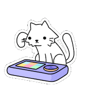 Cat Meme Zoomies Sticker by doodles