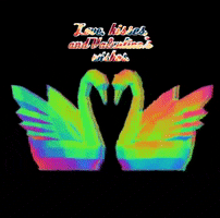 wiko_glitch love valentine valentines swan GIF