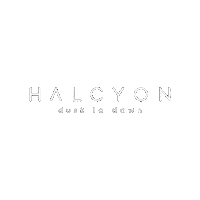 Halcyonsf  Sticker