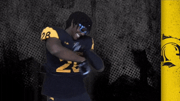 Football Uwaterloo GIF by Waterloo Warriors