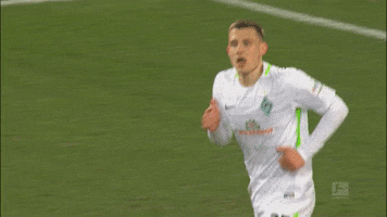 sv werder bremen bundesliga GIF