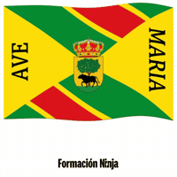 Comunidad De Madrid Bandera GIF by Formación Ninja