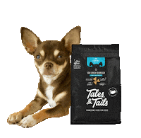 dog love Sticker by Tales&Tails
