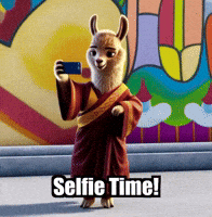 Fun Photo GIF by dalaillamazen