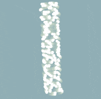 100daysofpois GIF by Jarleschean yema