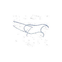 Blast Hurricane Sticker
