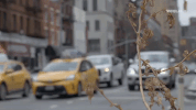 new york city GIF by MY HOUSE
