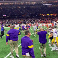 LSU Football Players Rush the Field to Celebrate