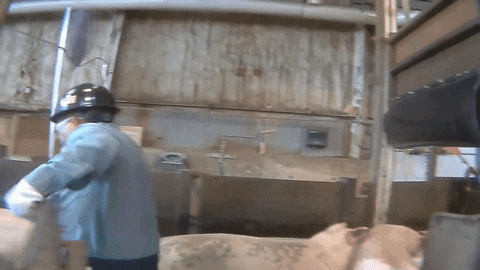 easttw giphyupload GIF
