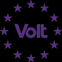 VoltEuropa volt votevolt volt europa volt stars twist GIF