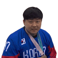 Winter Olympics Sport Sticker by International Paralympic Committee