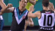 High Five Aussie Rules GIF by Port Adelaide FC