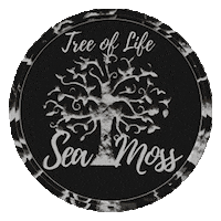 Shea Butter Sticker by Tree of Life Sea Moss