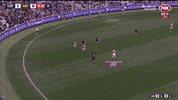 Carlton Blues Afl GIF by Carlton Football Club