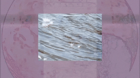 Low Tides GIF by Topshelf Records